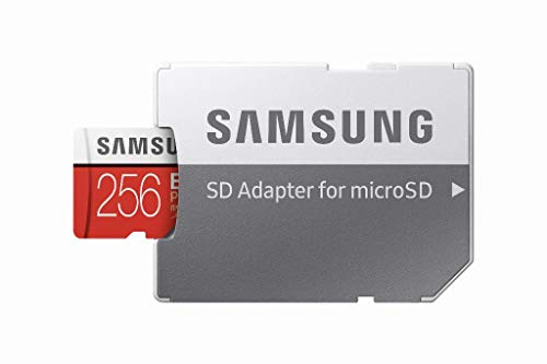 Samsung EVO Plus 2020-256 GB MicroSDXC Clase 10 UHS-I 100 MB/s 90 MB/s