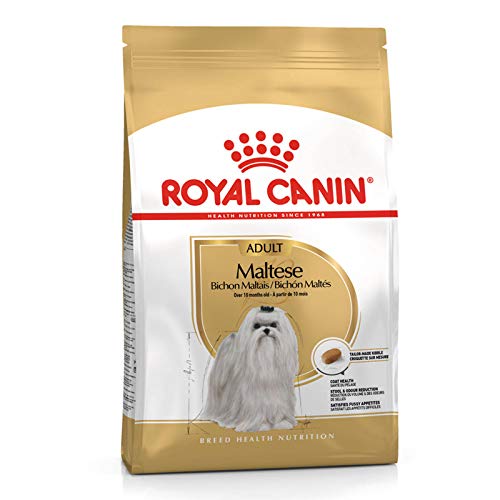 Royal Canin Maltese 24 – Comida para bichón maltés, seca, 1,5 kg