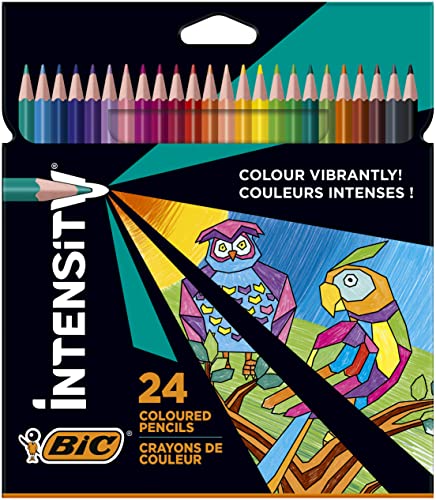 BIC Intensity Triangle Lápices de Colores, Mina de 1.3 mm, Resina sin Madera, Resistente a los Golpes – Colores Surtidos, Pack de 24